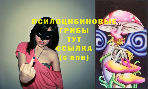 apvp Дмитров