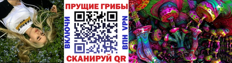 Галлюциногенные грибы Cubensis  где найти   Дальнереченск 