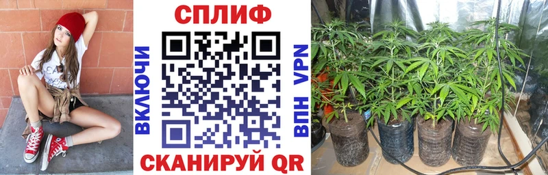 Бошки Шишки OG Kush Дальнереченск