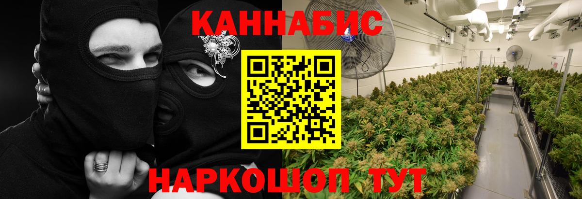 Каннабис OG Kush  Вход с VPN  МАРИХУАНА конопля  Каннабис Amnesia  Дальнереченск 